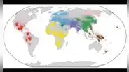 El árbol genealógico más completo de la especie humana revela gran parte de su historia