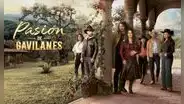 “Pasión de gavilanes 2″: ¿cómo ver la novela si no tengo Netflix?
