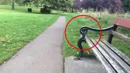 ¿Puedes ver al perro pug oculto en la imagen? Pocos pueden superar este nuevo reto visual  [FOTOS]