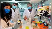 Una proteína del coronavirus “desarma eficazmente” el sistema inmunitario del cuerpo