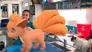 Pokémon GO: veterinarios se fotografían curando pokémon para atraer más clientes [FOTOS]   