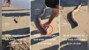 Joven quiere meterse al mar, pero se encuentra con extraña criatura y queda en shock