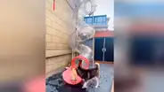 Joven fabrica tobogán para que sus mascotas se diviertan en la cuarentena [VIDEO] 