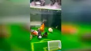 Convierte pecera en ‘cancha’ de fútbol y sus peces libran un vibrante ‘partido’ [VIDEO]