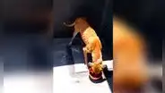 Halla a perro callejero en deplorables condiciones y le da un poco de comida [VIDEO]