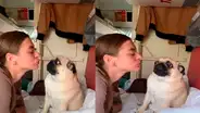 Joven intenta besar a su mascota y recibe inesperada respuesta de su perro pug [VIDEO]