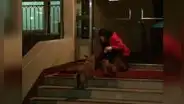 Gato consuela a perrita que espera volver a ver a sus dueños
