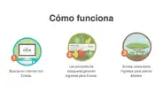 Amazonas en llamas: conoce al navegador de Internet que planta árboles cada vez que lo usas [VIDEO]