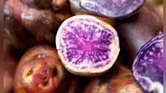 Industria chilena alista proyecto para fabricar colorantes a partir de la pulpa de papas moradas y rojas