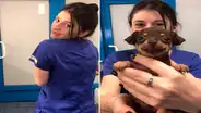 Cachorro va por primera vez al veterinario y su tierna reacción conmueve a miles [VIDEO]