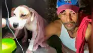 Rescatan a una perrita que era abusada por un vecino y maltratada por sus dueños