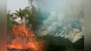 El millonario negocio de los incendios en la Amazonía