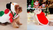 Navidad: 10 vestuarios para que tu mascota luzca impecable en la Noche Buena [FOTOS]