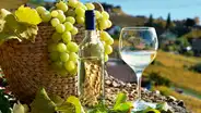 Adex: "A Chile no entra pisco peruano desde hace años"