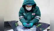 Minagri suscribe acuerdo para iniciar exportación de arándanos a Taiwán