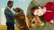 Netflix hace llorar a miles con película que conmueve a amantes de los animales: ¿de qué trata?