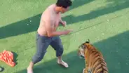 Furioso tigre ataca a hombre que lo cuidó de bebé porque no quería acatar las órdenes [VIDEO]