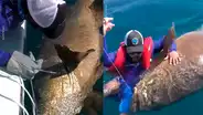Intenta capturar a misteriosa criatura marina, pero esta la sorprende con violenta reacción [VIDEO]