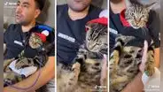 Gatito gamer: ‘juega’ videojuegos con su dueño y reniega si lo separan de él