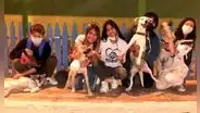 Jóvenes rescatan a perritos que fueron atados a muros de construcción