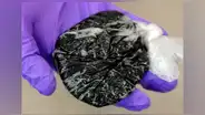 Se registran siete muertes producto de bacteria ‘comecarne’ asociada a la heroína de alquitrán negro