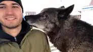 YouTube viral: chico busca tomarse selfie con enorme lobo negro y este reacciona así [VIDEO]