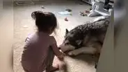 Regresa a casa y descubre a su hija jugando a la ‘cocinita’ junto al perro de la casa [VIDEO]