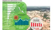 El Perú perdió más de S/ 3 mil millones por deforestación