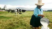 Demanda de Gloria seguiría similar rumbo que caso Bonlé