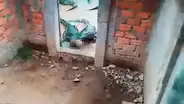 Niña de 2 años fue devorada por cocodrilos que criaba su padre [VIDEO]
