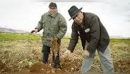 Productores de papa yungay, única y canchán: “Aquí se pierde todo”