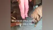 Perrita piensa que iban a arrebatarle a su cría y se queda junto a ella para que no las separen [VIDEO]