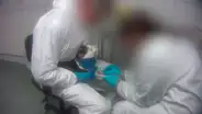Video filmado dentro de laboratorio revela brutal maltrato contra monos y animales domésticos