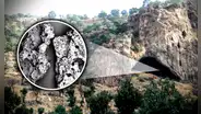 Hallan la primera comida cocinada del mundo: fue hecha por neandertales hace 70.000 años