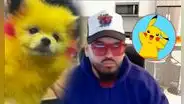 Hombre es multado luego de que pintara a su perro para que luzca como Pikachu