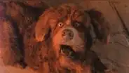 El narrador de cuentos: la serie regresa con nuevos capítulos
