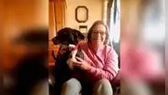 Perrita aparece en el trabajo de su dueña tras haberse perdido por semanas 