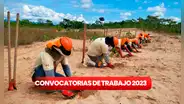 ¿Eres bachiller o titulado? Sernanp ofrece empleos en 6 regiones con hasta S/11.000 de sueldo