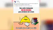 Facebook viral: Entidades del Estado aprovechan meme del pollito para crear reflexivos mensajes [FOTOS]