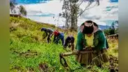 Créditos preferenciales para agricultores y ganaderos de la región Moquegua