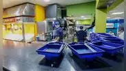 Suspensión perfecta: Más de 205 mil trabajadores quedarían afectados con solicitudes de empresas