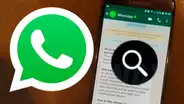 WhatsApp: ¿viste la pequeña lupa que apareció al lado de tus mensajes? Te revelamos para qué sirve