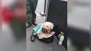 Anciano sale a vender golosinas todos los días y su perro lo acompaña 