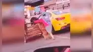 Perro acompaña a su dueña para ayudarla en sus labores todos los días 