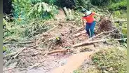 Huaicos dañan casas, vías,  y parcelas de cultivo en Huánuco y Ucayali