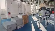 Crean un robot que tiene manos y miles se sorprenden al ver lo que puede hacer con ellas