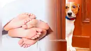 ¿Puedo tener sexo frente a mi mascota? Esto dicen las expertas