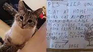 Gato vuelve a casa con una extraño mensaje en el cuello en la que amenazan con secuestrarlo [FOTOS]