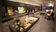 Estos son los 50 museos del Perú que puedes visitar GRATIS el primer domingo de cada mes