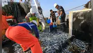 Fallecen 2 trabajadores de una embarcación anchovetera en plena descarga del recurso